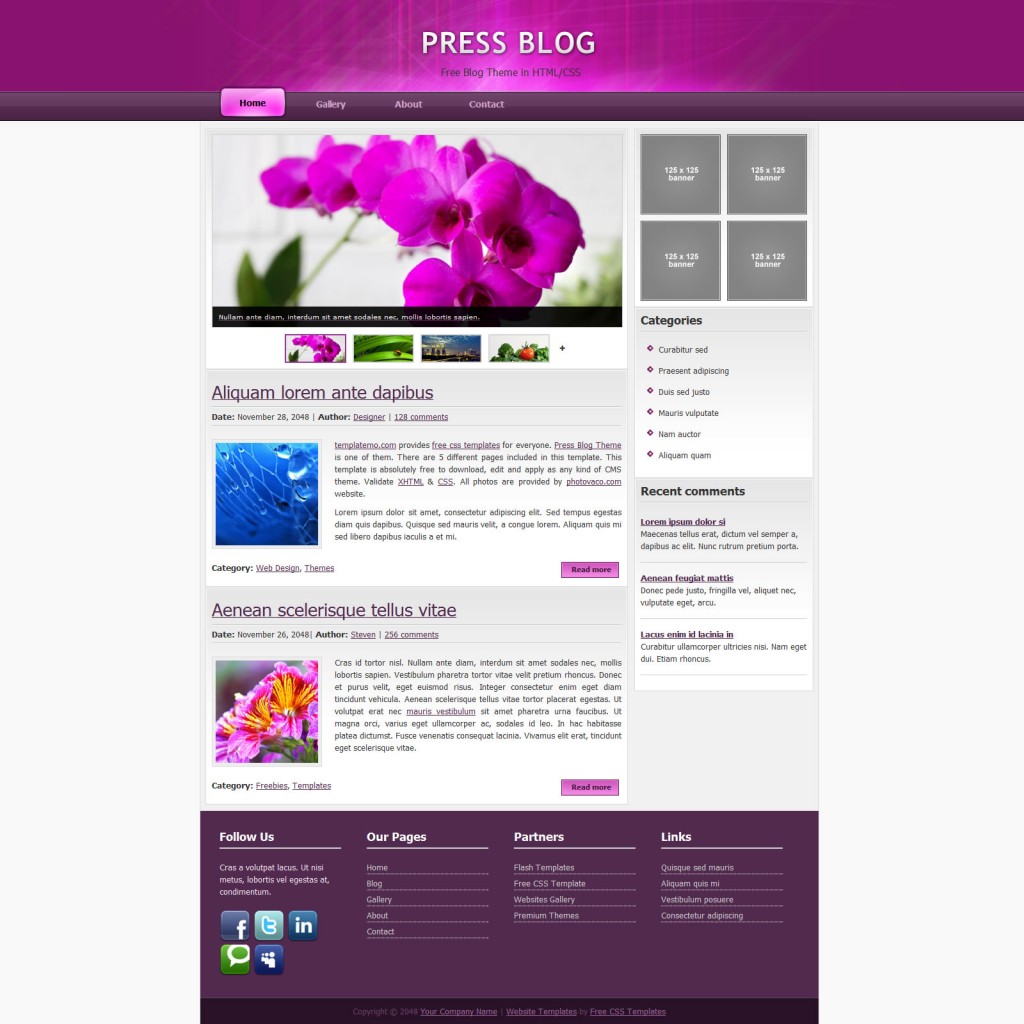 Free Html Website Templates Source Code